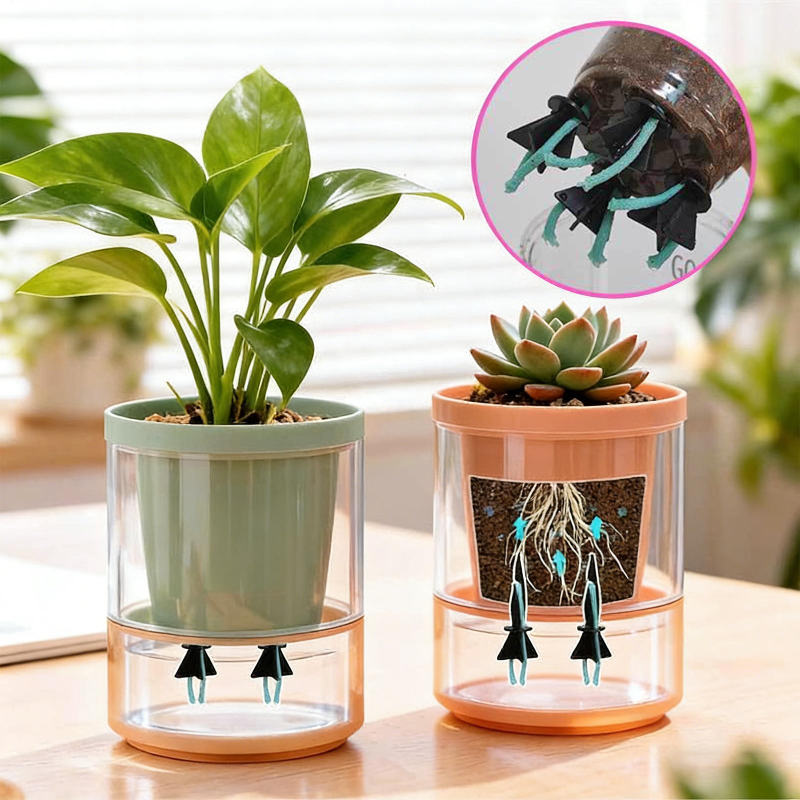 Self Watering Planter Insert 4 - đánh giá và giá Self Watering Insert