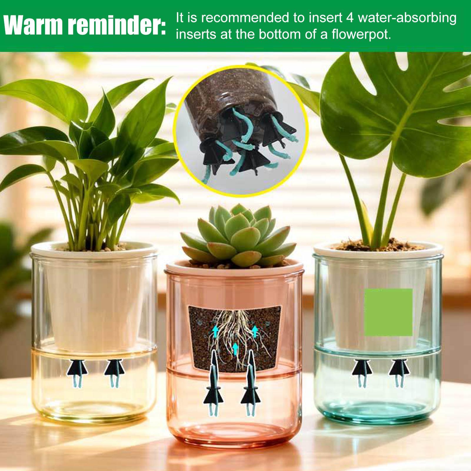 Self Watering Planter Insert 4 - đánh giá và giá Self Watering Insert