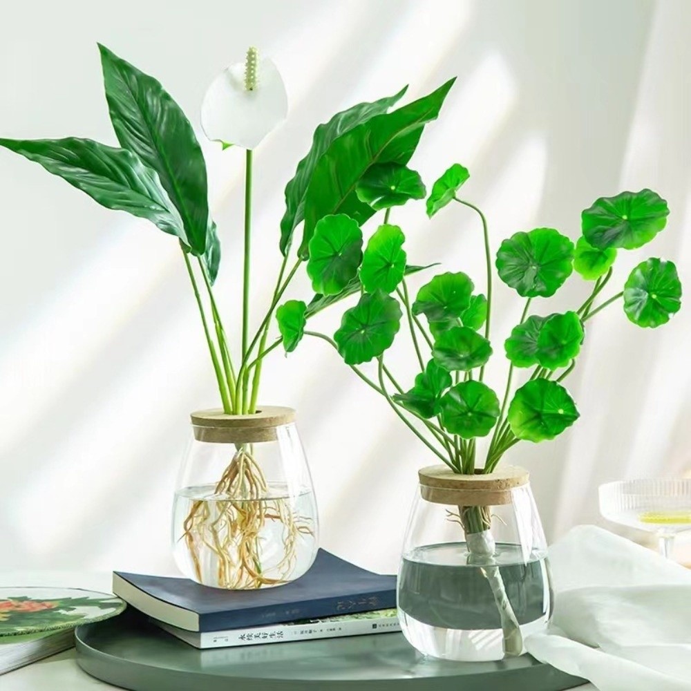 Transparent Hydroponic Flowerp - đánh giá và giá Propagation Station Vase