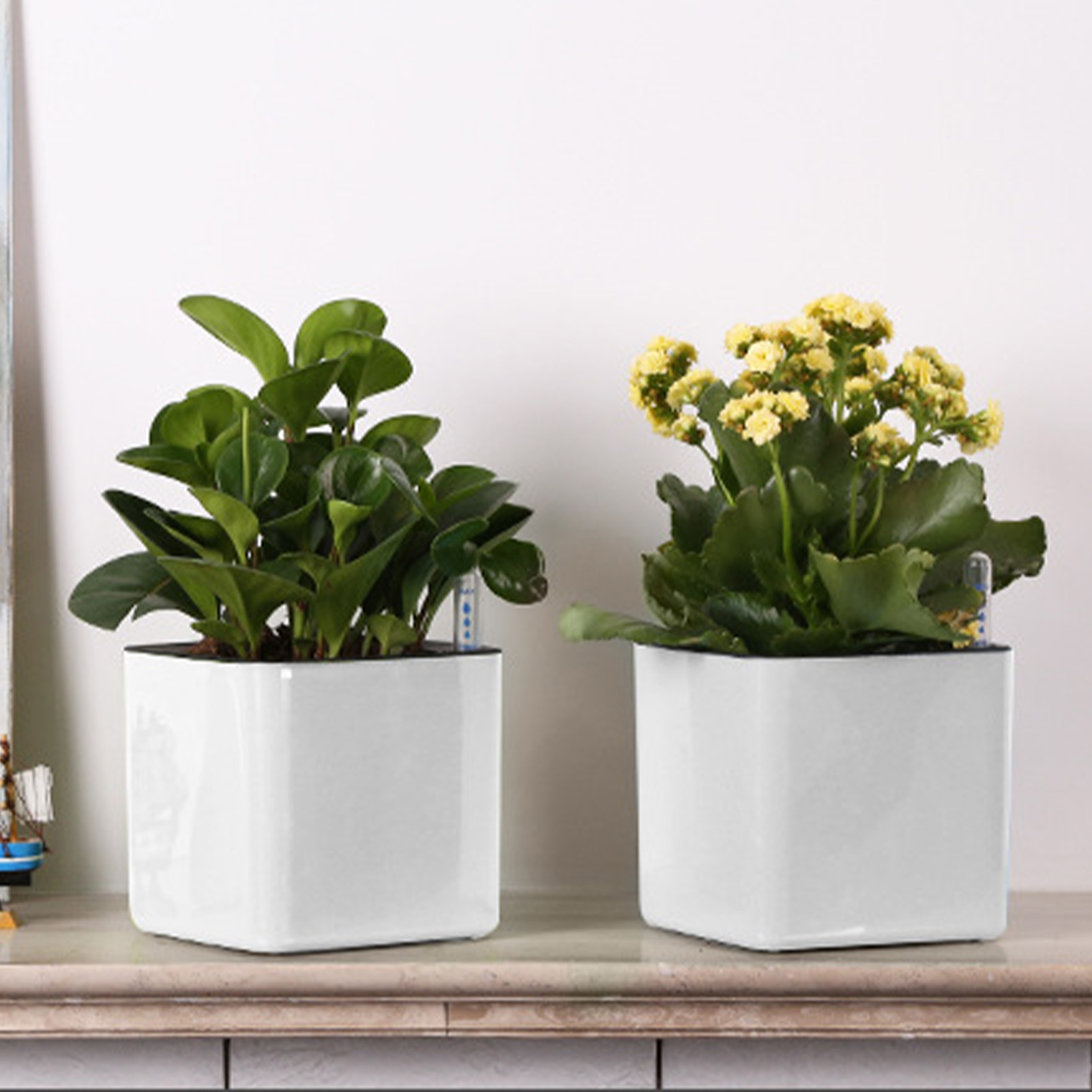Self Watering Planter Self-wat - đánh giá và giá Self Watering Insert
