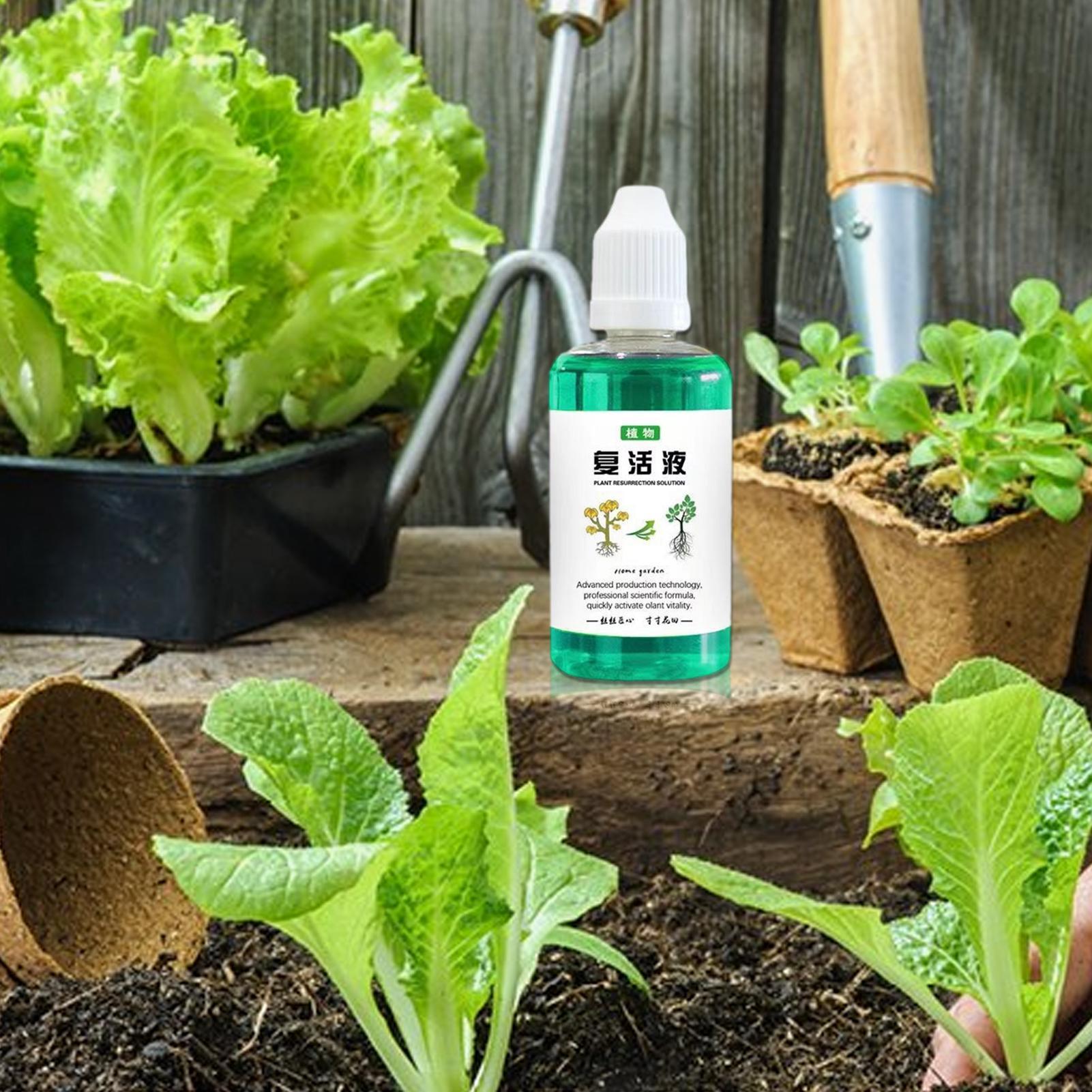 Root Stimulator For Plants 50m - đánh giá và giá Root Stimulator Liquid
