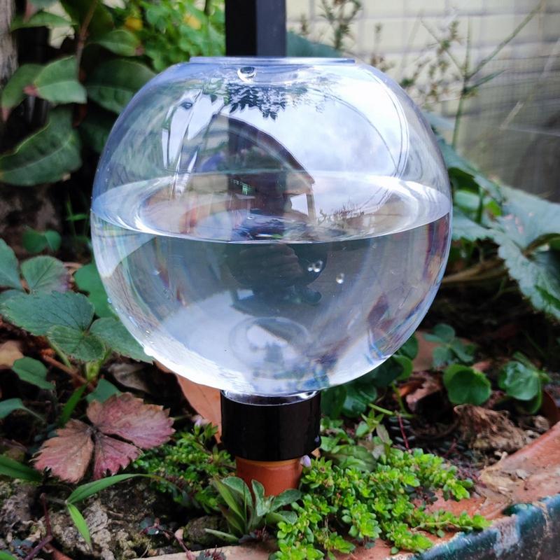 Plant Watering Bulbs Automatic - đánh giá và giá Self Watering Insert