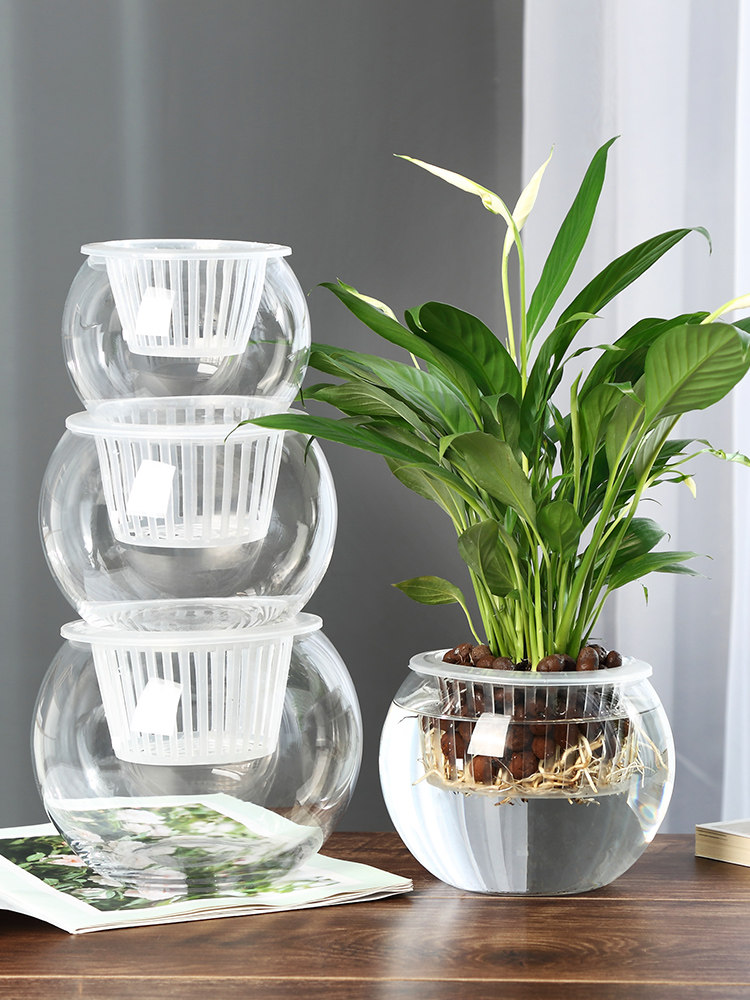 Hydroponic Glass Vase Glass Gr - đánh giá và giá Propagation Station Vase